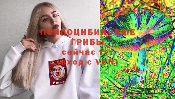 мет Балахна