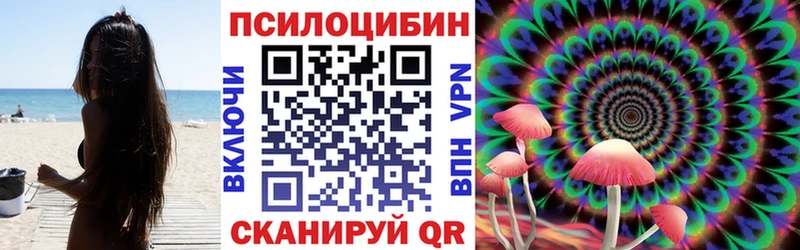 купить наркотики сайты  блэк спрут сайт  Галлюциногенные грибы Psilocybine cubensis  Электроугли 